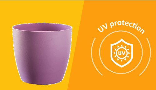 elixance affixo uv ptotection