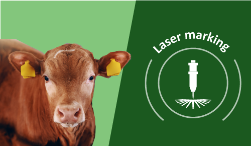 elixance affixo marking laser