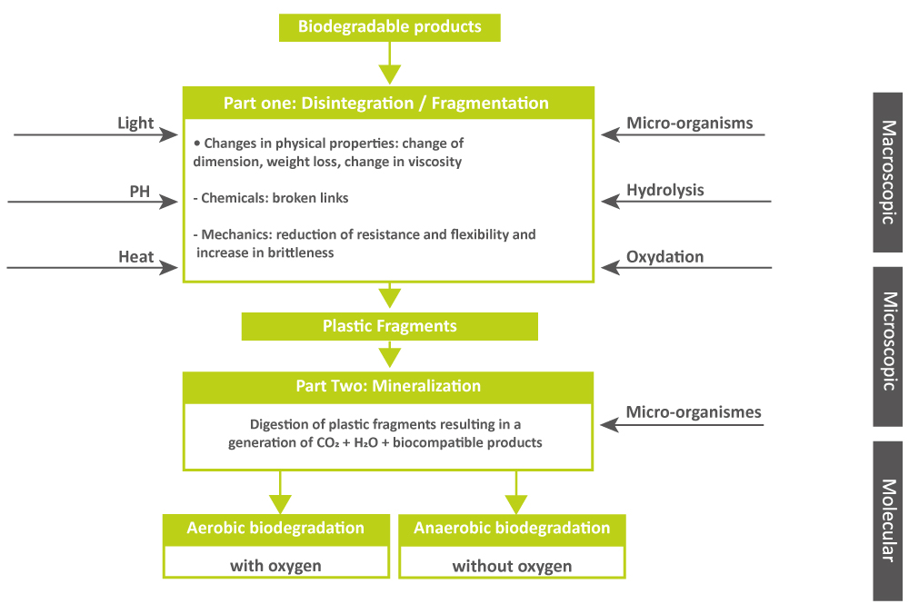 elixance biodegradable polymers biodegradation scheme