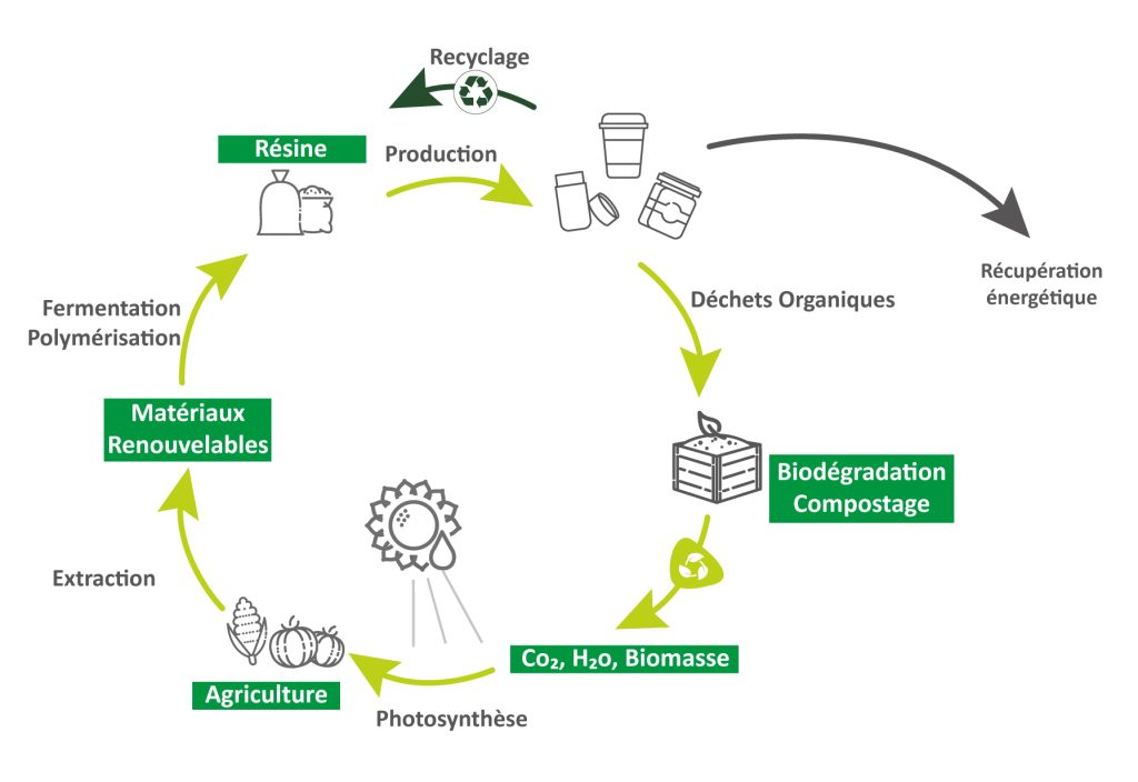 elixance schema cycle carbone