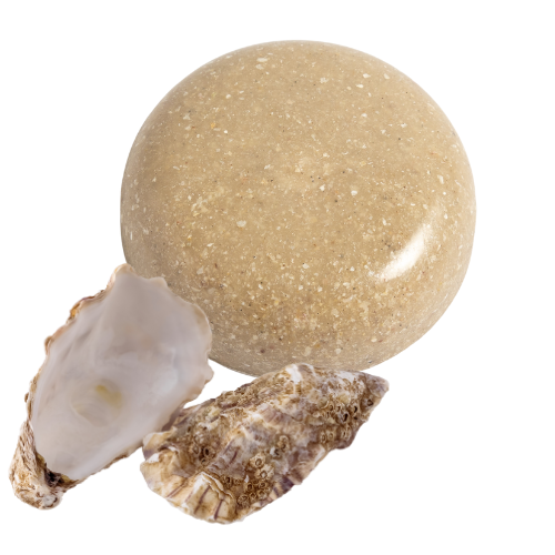 elixance compound coquilles huitres PE recyclé Bio PE PP recyclé