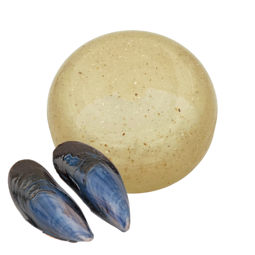 elixance compound coquilles moules PE recyclé Bio PE PP recyclé