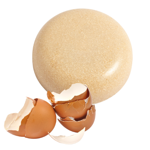 elixance compound coquilles oeufs PE recyclé Bio PE PP recyclé