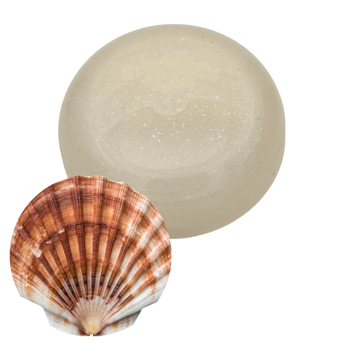 elixance compound coquilles saint jacques PE recyclé Bio PE PP recyclé