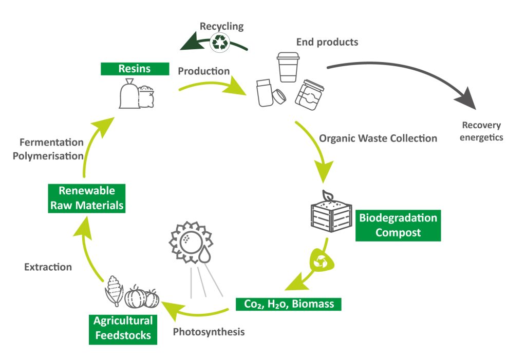 elixance cycle carbon14 scheme
