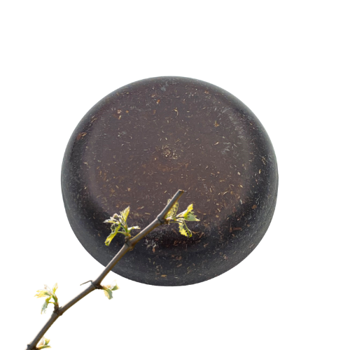 elixance compound sarment de vignes