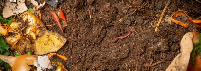 Elixance comprendre les polymères compostables