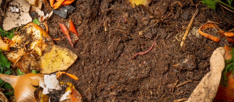 Elixance comprendre les polymères compostables