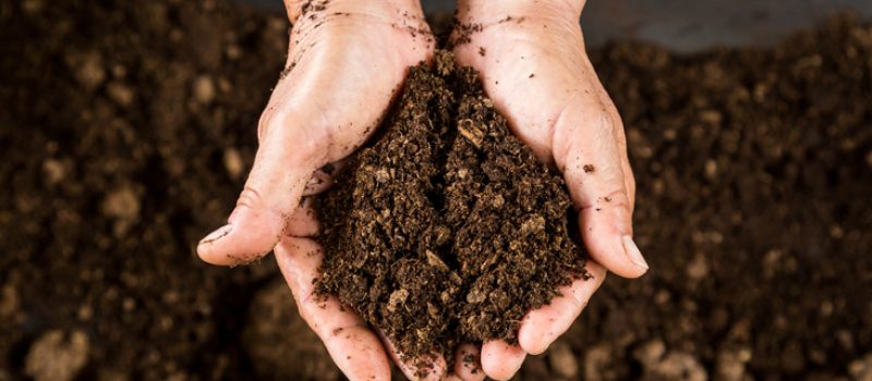 elixance biodegradability